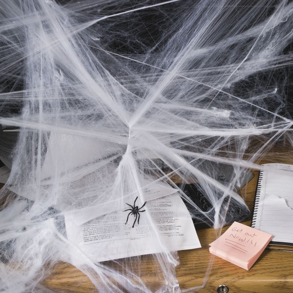 Halloween Spinnennetz Spinnweben mit Spinne