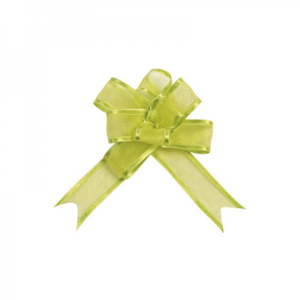 Ziehschleifen Geschenkschleifen grün 14cm x 10cm aus Organza mit Satinkante 5 Stück