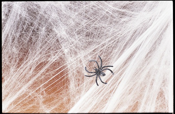 Halloween Spinnennetz 500g Spinnweben mit 6 Spinnen