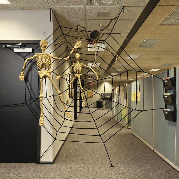 Riesiges Spinnennetz ca. 3,58 Meter Durchmesser
