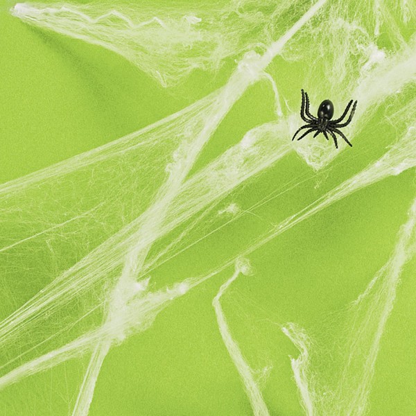 Spinnennetz Spinnweben mit Halloween Spinnen je 12 Stück